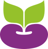 The Purple Bean